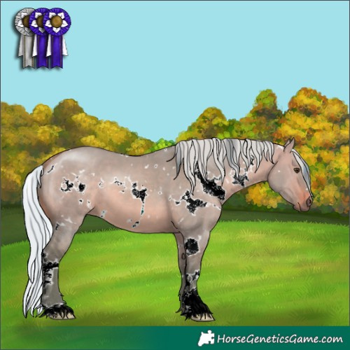 Horse Color:Watercolor White Spotted Silver Brown Dun