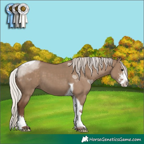 Horse Color:Silver Grullo Sabino Tobiano
