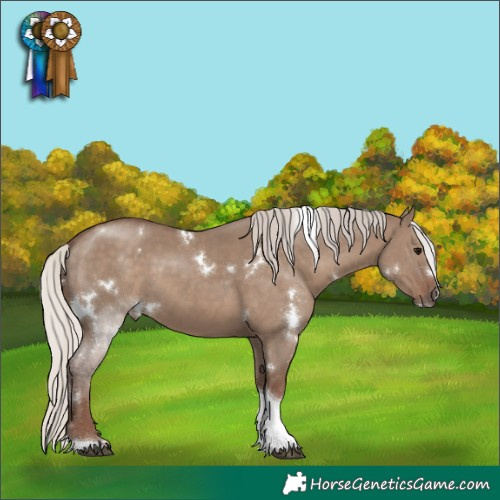 Horse Color:White Spotted Silver Grullo Tobiano Rabicano 