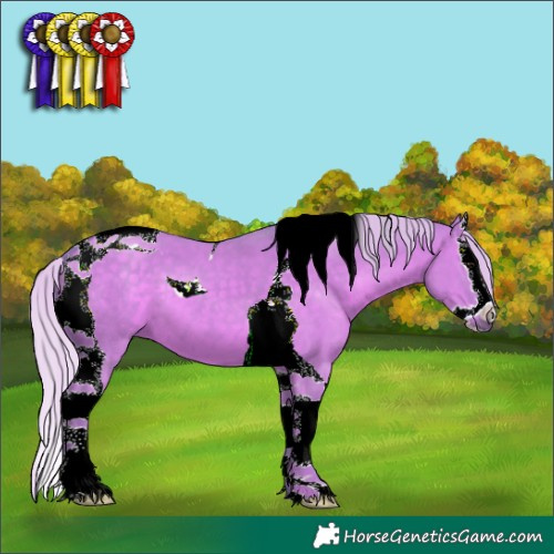 Horse Color:Watercolor Silver Grullo Splash Tobiano 