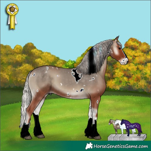 Horse Color:White Spotted Silver Blue Onyx Splash 