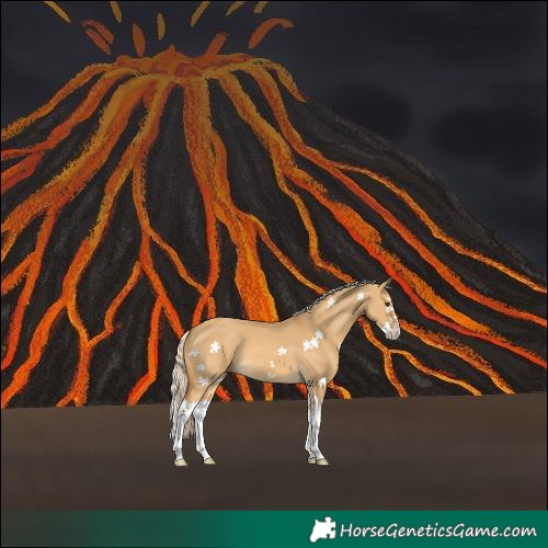 Horse Color:Palomino Dun Splash