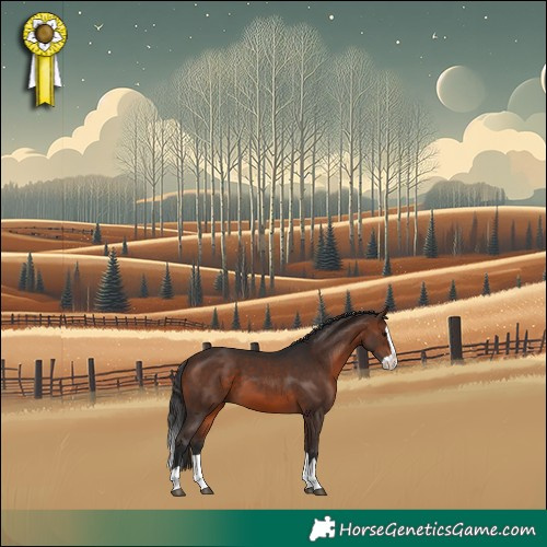 Horse Color:Brown Splash 