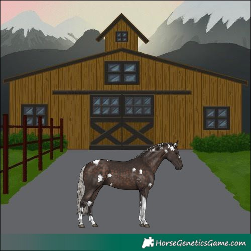 Horse Color:Silver Brown Tobiano