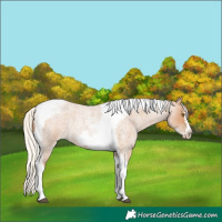 Horse Color:Silver Blue Roan Pearl Tobiano Frame