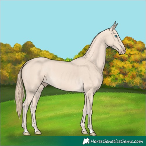 Horse Color:Perlino