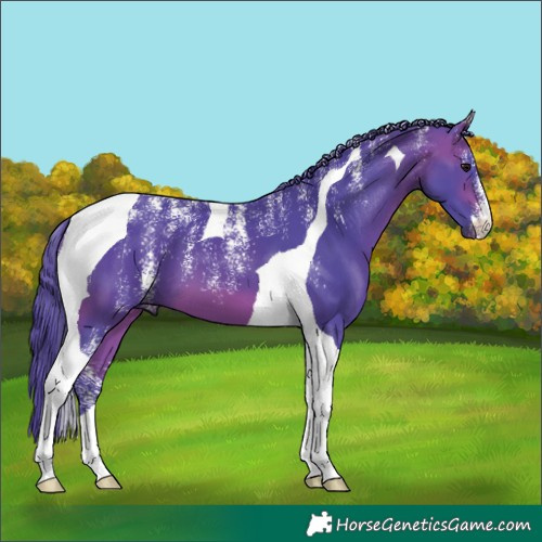 Horse Color:Powder White Watercolor Bay Tobiano 