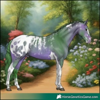 Horse Color:Powder White Watercolor Bay Tobiano Blanket