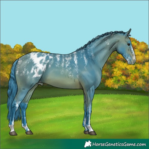 Horse Color:Powder White Watercolor Bay Blanket