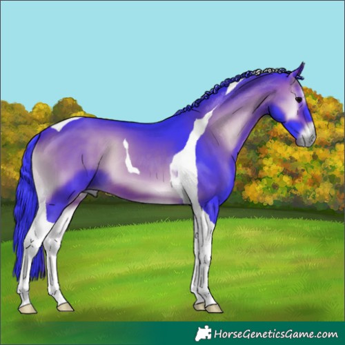 Horse Color:Watercolor Brown Onyx Tobiano 