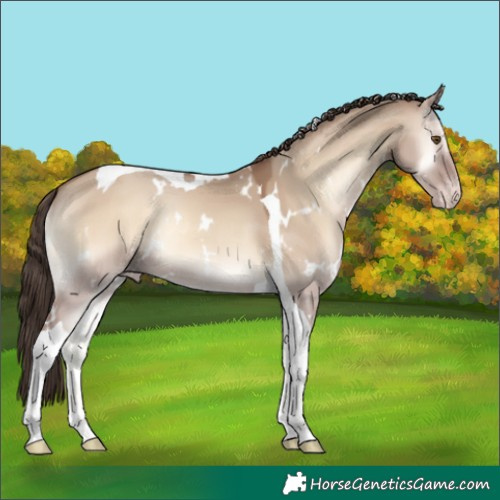 Horse Color:White Spotted Classic Champagne Onyx Tobiano 