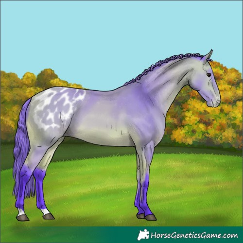 Horse Color:Watercolor Buckskin Blanket 