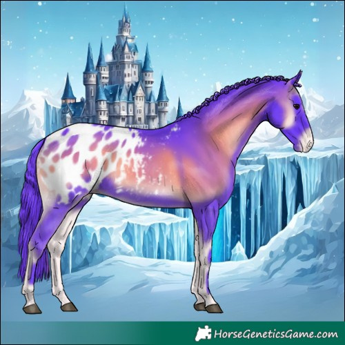 Horse Color:Watercolor Blue Onyx Blanket Rabicano 