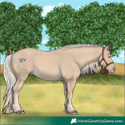 Horse Color:Cremello 