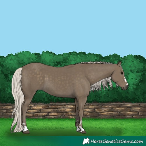 Horse Color:Silver Smoky Black 
