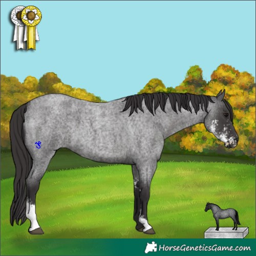 Horse Color:Smoky Blue Roan Sabino 