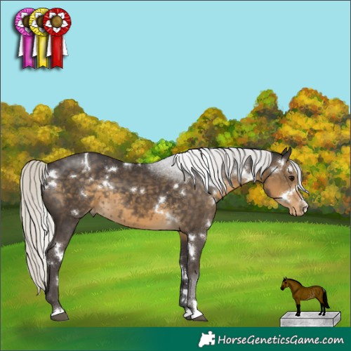 Horse Color:White Spotted Silver Smoky Black Appaloosa Rabicano 