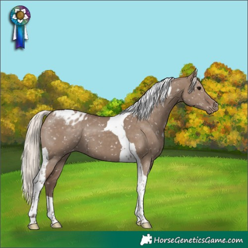 Horse Color:Silver Grullo Tobiano Snowflake Varnish