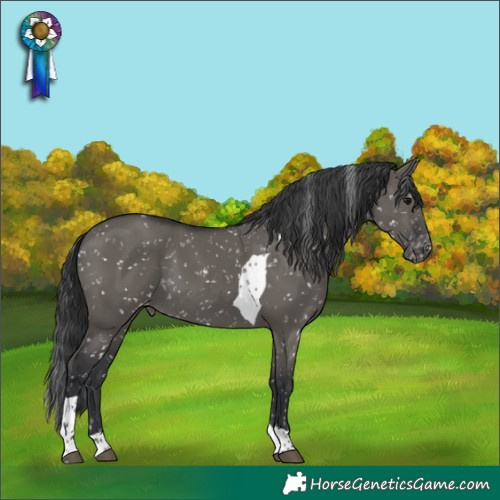Horse Color:Grullo Tobiano Snowflake Varnish