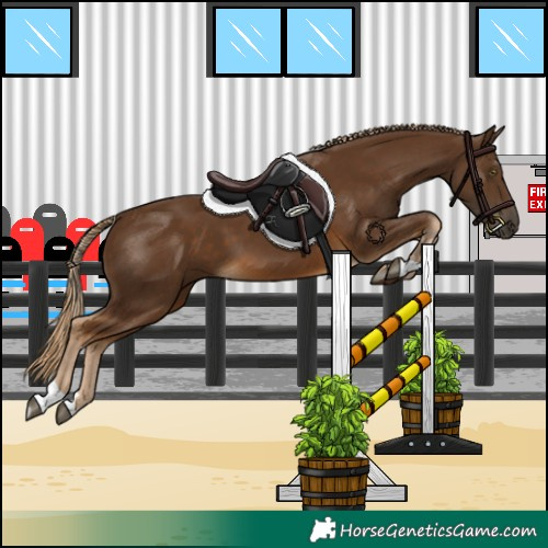 Horse Color:Chocolate Palomino 