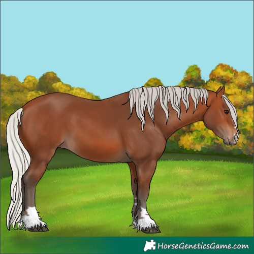 Horse Color:Silver Bay 