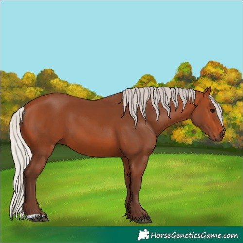 Horse Color:Silver Bay 