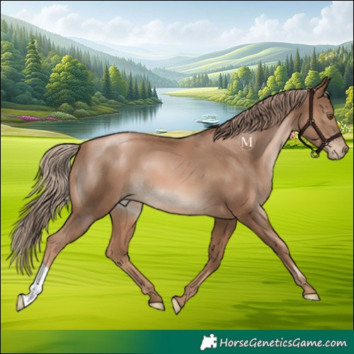 Horse Color:Liver Chestnut Pearl