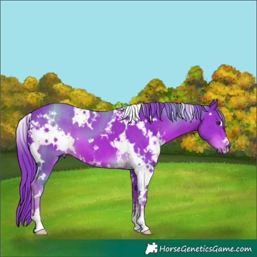 Horse Color:Watercolor White Spotted Liver Chestnut