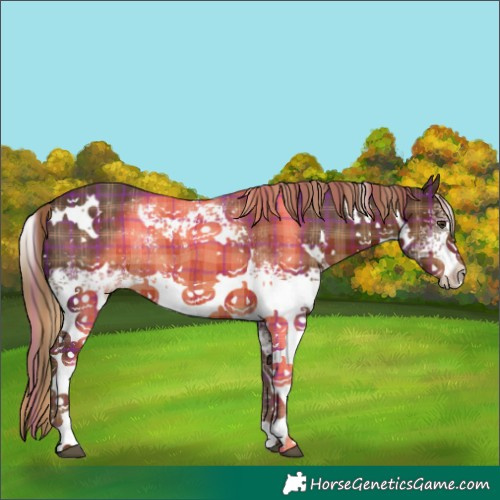 Horse Color:Plaid White Spotted Liver Chestnut Rabicano