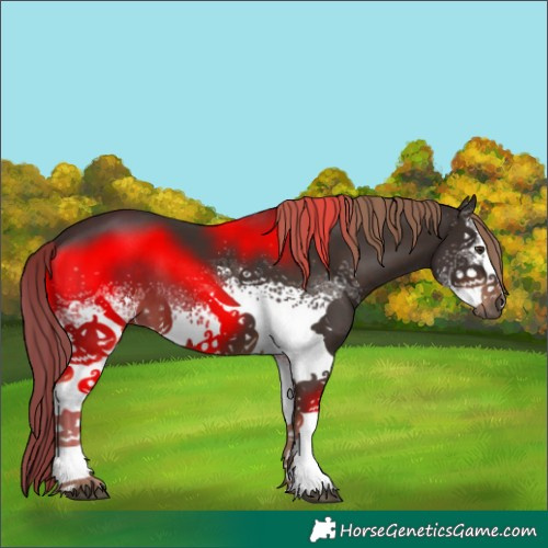 Horse Color:White Spotted Liver Chestnut