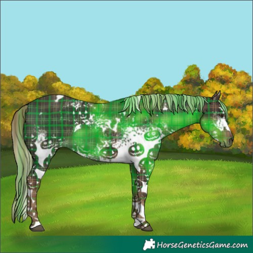 Horse Color:Plaid  White Spotted Liver Chestnut 