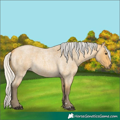 Horse Color:Silver Buckskin Roan 