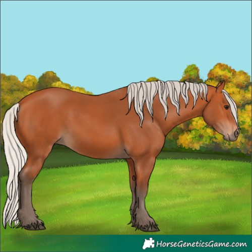 Horse Color:Silver Bay