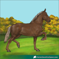 Horse Color:Chocolate Palomino
