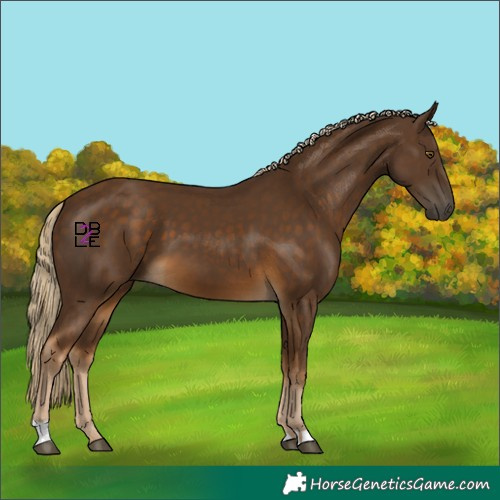 Horse Color:Chocolate Palomino
