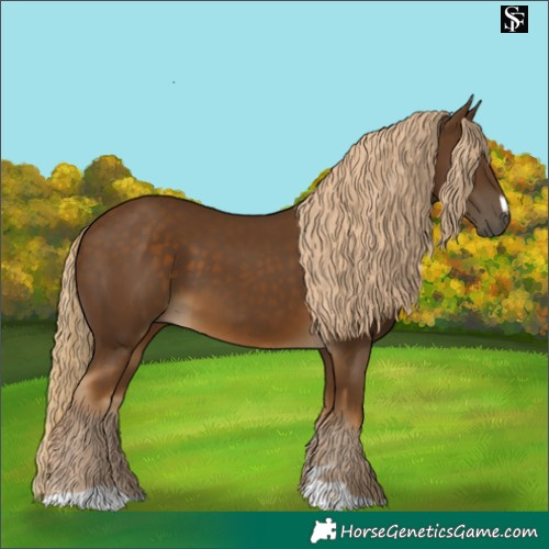 Horse Color:Chocolate Palomino