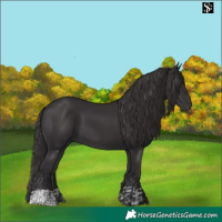 Horse Color:Smoky Black and Smoky Black