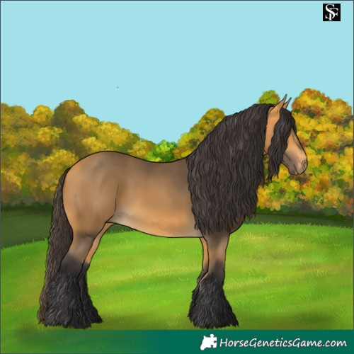Horse Color:Buckskin