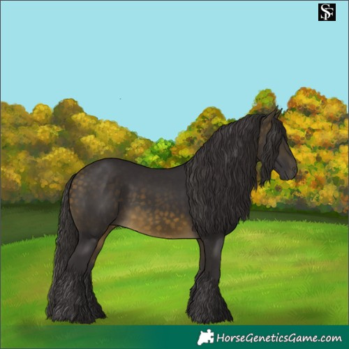 Horse Color:Buckskin 