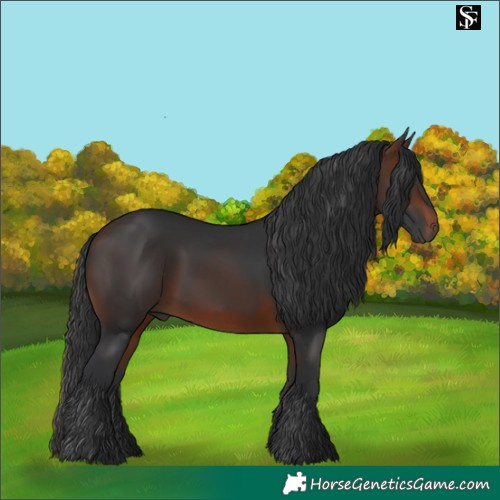 Horse Color:Brown 