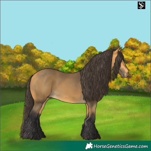 Horse Color:Buckskin