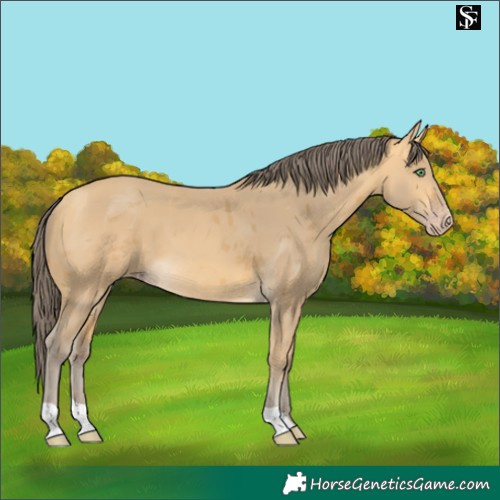 Horse Color:Amber Cream Champagne Merle