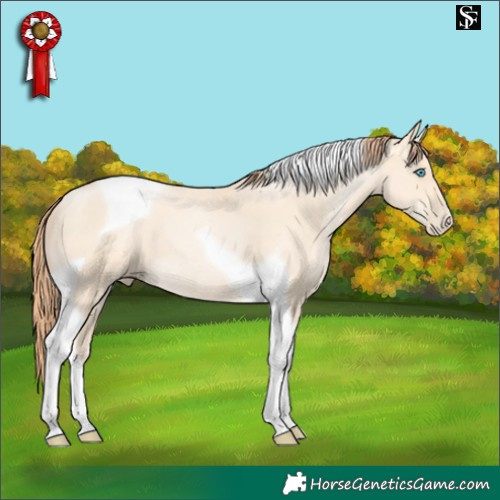 Horse Color:Amber Cream Champagne Pearl Tobiano 