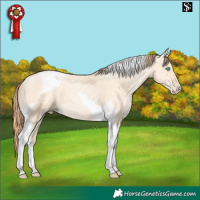 Horse Color:Amber Cream Champagne Pearl Tobiano