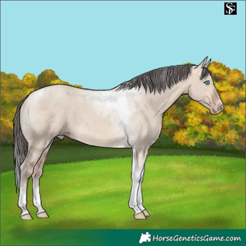 Horse Color:Amber Champagne Dun Merle Tobiano