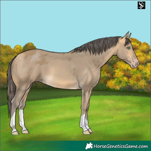 Horse Color:Sable Cream Champagne Merle