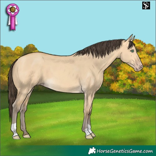 Horse Color:Amber Cream Champagne Dun 