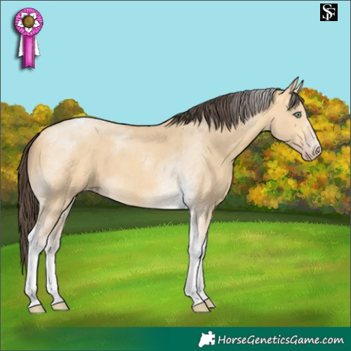 Horse Color:Amber Cream Champagne Dun Tobiano