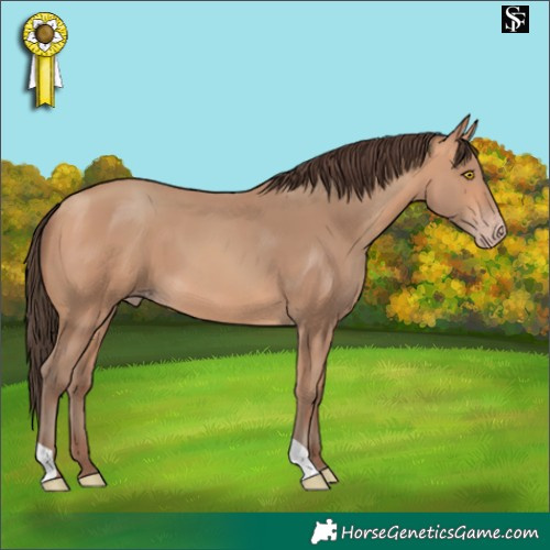 Horse Color:Amber Champagne