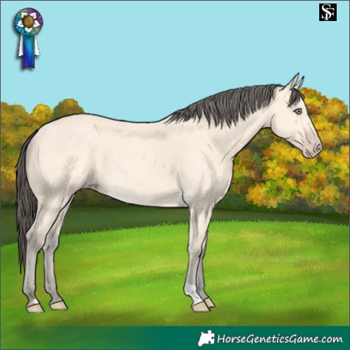 Horse Color:Amber Cream Champagne